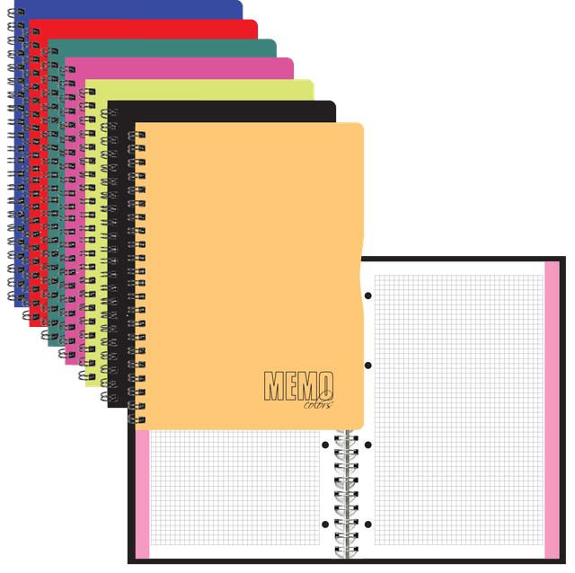 Memo Colour A4 ruut, 80 lehte
