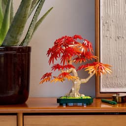LEGO Botanicals Jaapani punase vahtra bonsaipuu