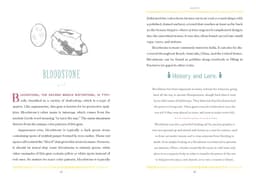 Your Birthstone Book : Unearth the Secrets of Your Birthday Gem