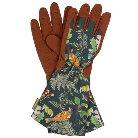 Kindad Woodland Wonders