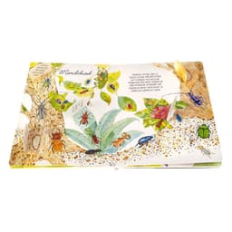 Klapiraamat Imeline Maailm: Putukad