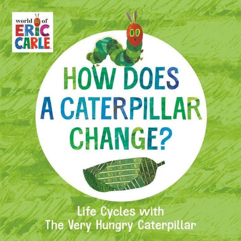 How Does A Caterpillar Change?