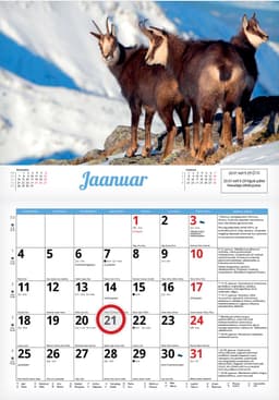 2027 Astroloogiline seinakalender