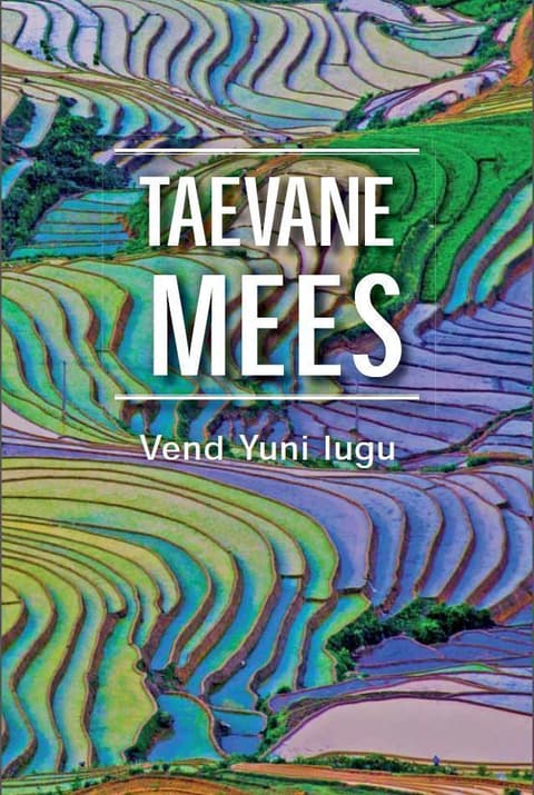 Taevane mees