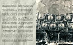 The Curious Bartender Volume 1 : The Artistry and Alchemy of Creating the Perfect Cocktail