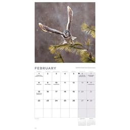 Kalender 2027 Owls Mini
