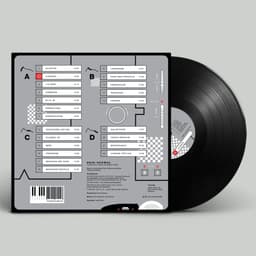 LP Heini Vaikmaa  - Ajarada
