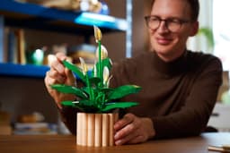 LEGO Botanicals Tõlvlehik