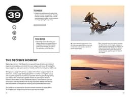 52 Assignments: Nature Photography