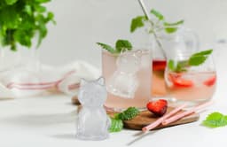 WINKEE jääkuubikute vorm Kitty/Kiisu