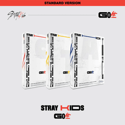 CD Stray Kids - GO LIVE (Random Cover)