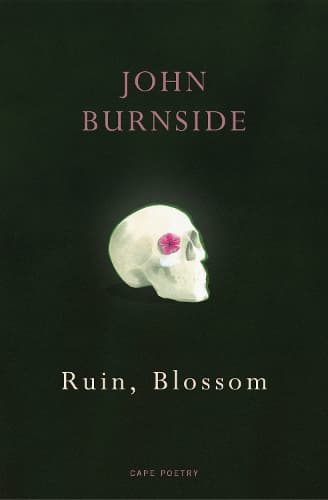 Ruin, Blossom: ‘A master of language’ Hilary Mantel