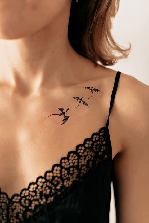 Ajutine tattoo TATTOOSHKA Dragons
