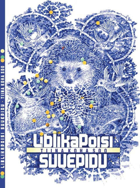 Liblikapoisi suvepidu