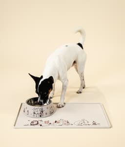 Lemmiklooma toidunõu Muumi Moments M