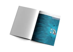 Mudilasvihik. Lõikevihik