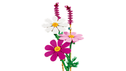 LEGO Botanicals Kosmoseõied