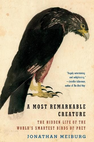 A Most Remarkable Creature: The Hidden Life of the World´s Smartest Birds of Prey