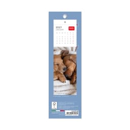 Legami 2027 Kalender/Järjehoidja 5,5x18 DOGS Puppies