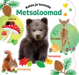 Katsu ja tunneta. Metsaloomad