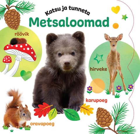 Katsu ja tunneta. Metsaloomad