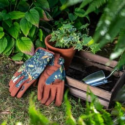 Kindad Woodland Wonders