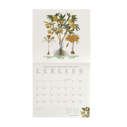 Legami 2027 Seinakalender 30x29 VINTAGE Herbarium