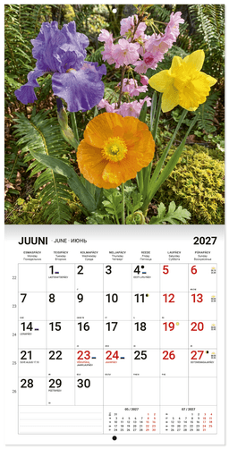 LILLEKALENDER 2027, ruut, klamberköide