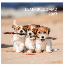LEMMIKLOOMAD 2027, ruut, klamberköide