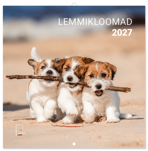 LEMMIKLOOMAD 2027, ruut, klamberköide