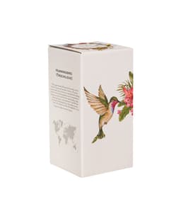 Termostops HUMMING BIRD 600ml