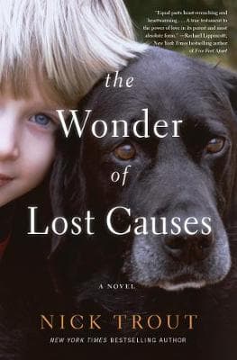 The Wonder of Lost Causes