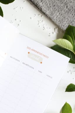 Lapsesuu. Minu naljakad ütlused