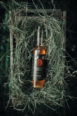 Wösel Õunasiidriäädikas