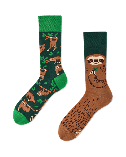 Many Mornings sokid SLOTH LIFE-39-42