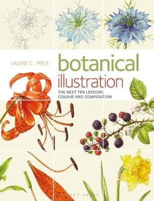 Botanical Illustration the Next Ten Lessons: Colour and Composition