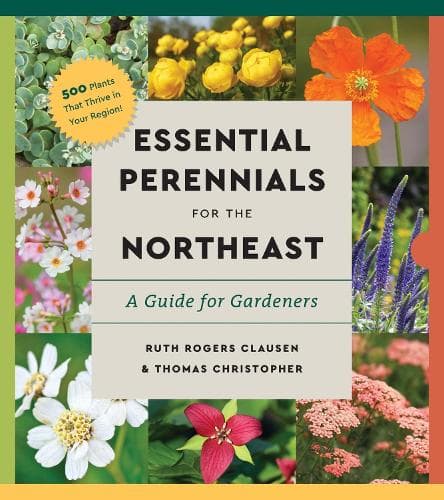 Perennials for the Northeast: A Comprehensive Guide