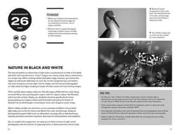 52 Assignments: Nature Photography