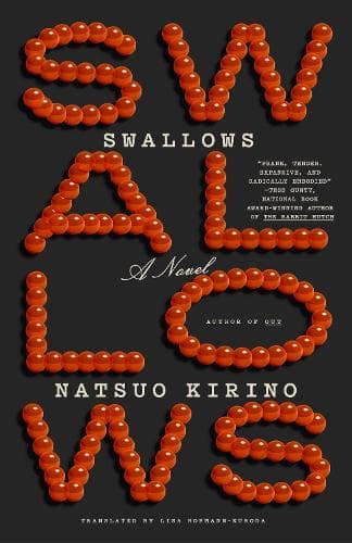 Swallows: A Novel
