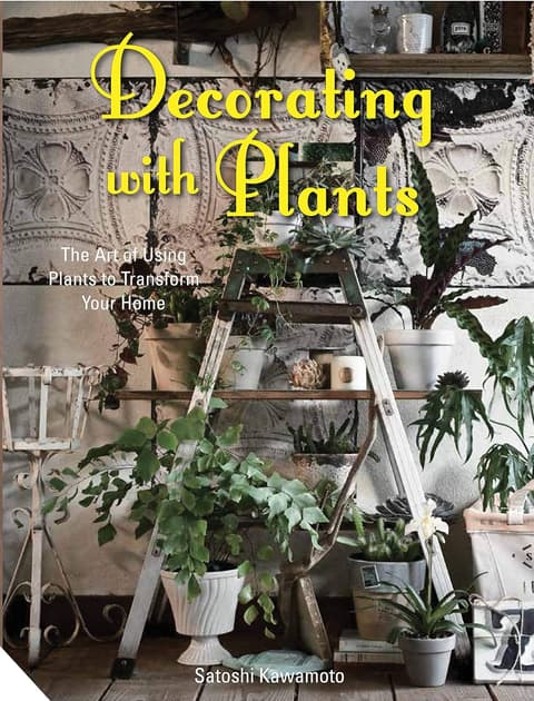 Decorating with Plants