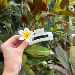 SOFI Juukseklamber S pearl