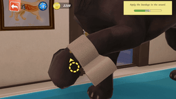 PS5 Animal Hospital