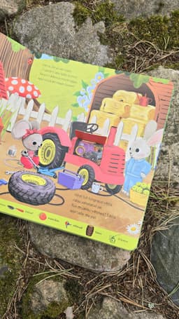 Pilla-Palla pakub abi