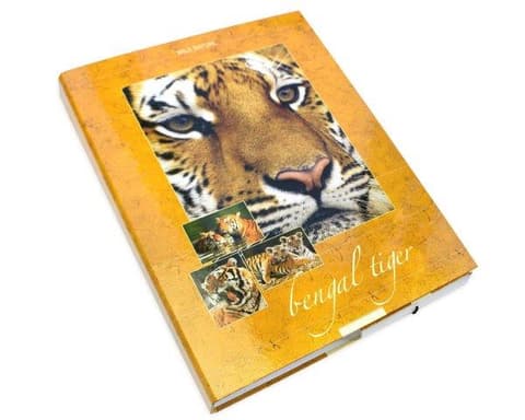 Vihikumapp WILD NATURE, tiiger, A4, kummiga