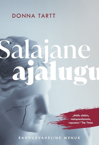 E-raamat: Salajane ajalugu