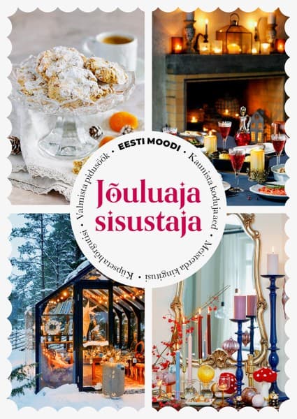 E-raamat: Jõuluaja sisustaja