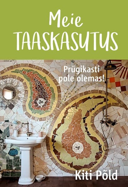 E-raamat: Meie taaskasutus