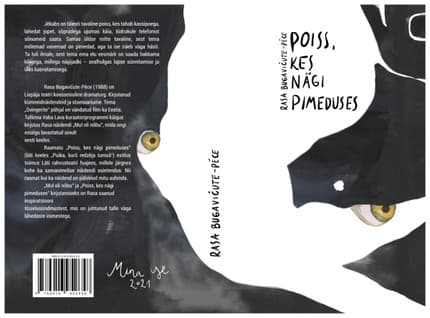 E-raamat: Poiss, kes nägi pimeduses