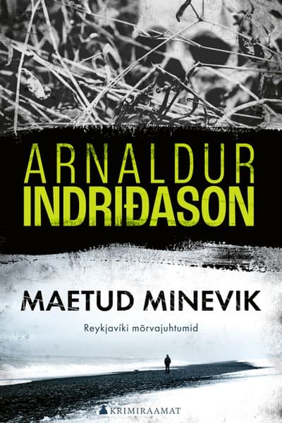 E-raamat: Maetud minevik
